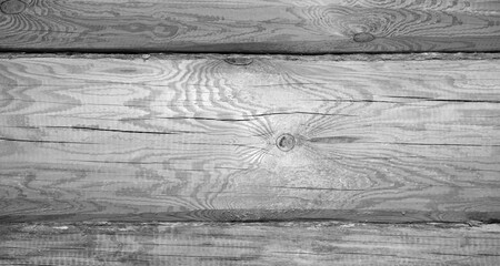 Detailed close-up of a gray wooden log showing natural grain patterns