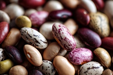 A colorful variety of beans creates a visually appealing and textured composition, showcasing nature's diverse palette.