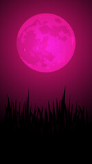 sfondo, verticale, halloween, formato verticale, notte, spaventoso,  short, reel, 