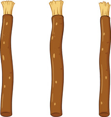 Group of Miswak Sticks Illustration Traditional Teeth Cleaning Method from Middle East and Africa