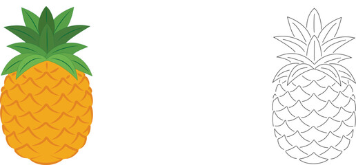 Vector image of pineapple on isolated white background. Citrus fruit. Ripe and tasty product.