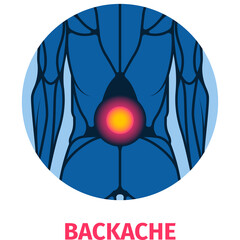 Blue Anatomical Human Torso With Red Glow Indicating Backache Pain In The Lower Spine Area Isolated On White Background Detailed Vector Illustration