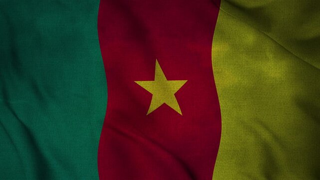 Cameroon flag lightning storm animation seamless loop. 4K