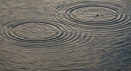 Fototapeta premium Two concentric ripple patterns on a water surface A few small objects float above the circles The water is reflective