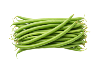 Isolated handful of green beans, also known as string beans, slender and fresh produce