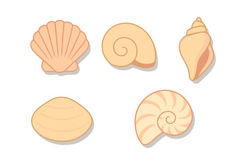 Collection of various beige and peach colored marine seashells isolated on a white background