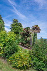 Lumière d’été sur le parc du Bourg-de-Rive