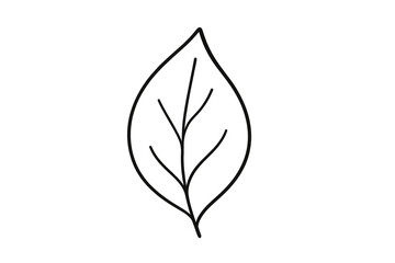 Obraz premium Black outline leaf drawing transparent background