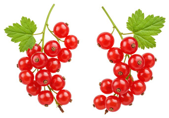 Isolated Red Currants, Sweet Refreshing Summer Fruit, Healthy Berries, Tasty Organic Food