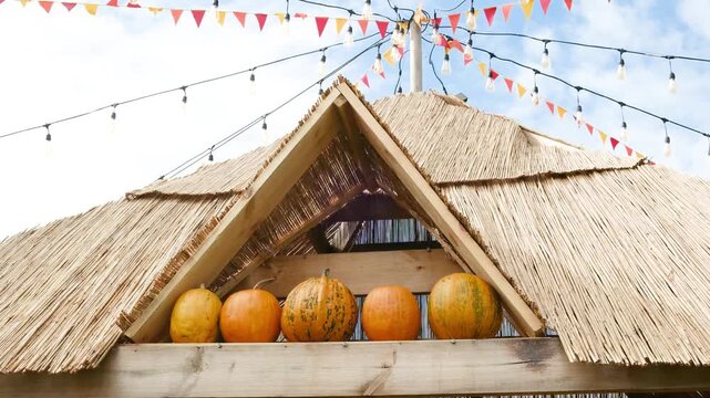 Pumpkins on thatched roof with string lights and flags, outdoor celebration decoration