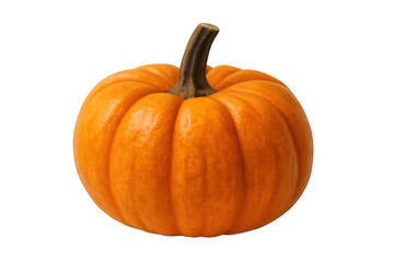 Obraz premium Orange autumn pumpkin or gourd representing harvest season and thanksgiving on transparent background