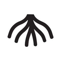 Hexagonal framed root showing structured harmony and balanced design