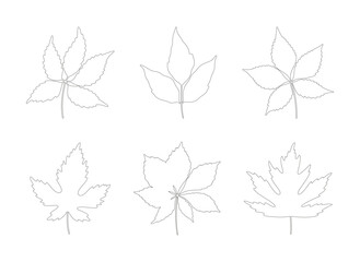 Set of autumn leaves maple, chestnut, and five-leaved ivy. Black silhouettes in line art style on a white background. Fall, spring, or summer collection foliage. Vector illustration