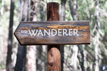 A rustic wooden sign points left with the word WANDERER painted on it. The sign is in a forest setting, inviting exploration