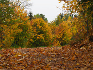 Herbststimmung
