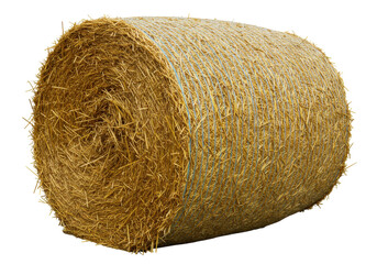Isolated Straw Roll for Cattle Feed, Traditional Agriculture, Autumn Harvest in Rural Farmland