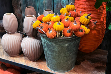 Mini velvet pumpkins in warm orange and yellow tones arranged in a rustic metal bucket. Thanksgiving crafts, cozy seasonal decor, soft sculpture accents, autumn home styling