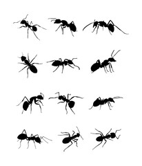 collection of black ant silhouettes showing various poses