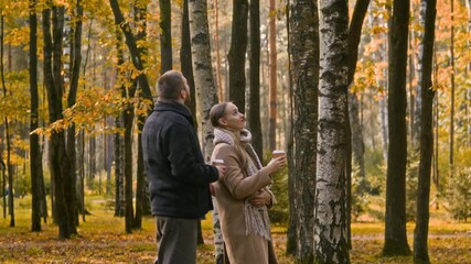 Wide tracking shot of young Caucasian woman with coffee cup strolling next to boyfriend while enjoying walk in picturesque fall forest park