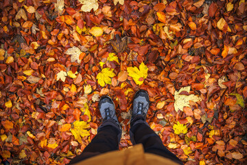 Hiking boots on trekking trail in autumn forest with fallen leaves. Personal perspective point of...