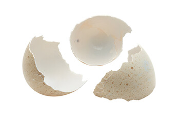 Fragments of a broken brown eggshell isolated on a pristine white background, suggesting concepts of fragility, new beginnings, or an empty nest