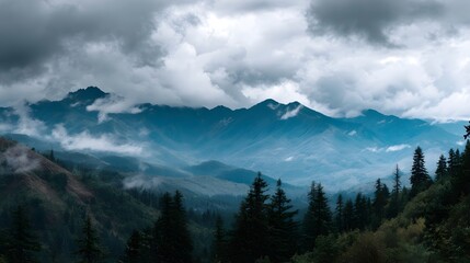 Moody misty mountain range with evergreen forest under dramatic overcast skies