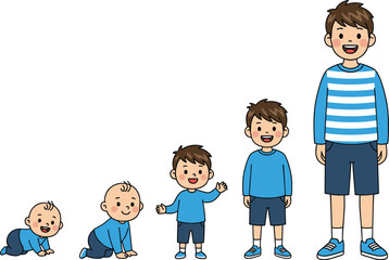 Boy growth stages from baby to teenager, educational vector illustration showing child development for biology, parenting, and learning materials