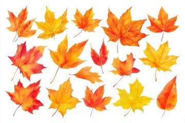 Fototapeta premium Nature's tapestry: enchanting colors of maple leaves in fall. Pr
