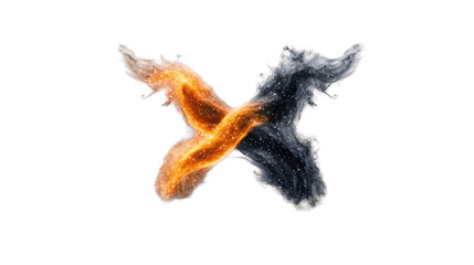 Fototapeta premium Fiery Zodiac Symbol on Transparent Background