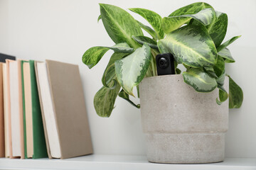 Hidden spy camera in houseplant and books on shelf indoors
