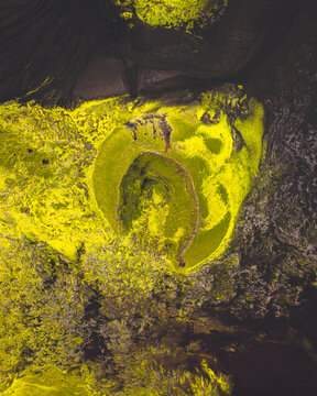 Aerial view of vibrant yellow and green moss clinging to the volcanic crater's rim, contrasting against the dark, rugged terrain, Lakag&Atilde;&shy;gar, Skaft&Atilde;&iexcl;rhreppur, Iceland.