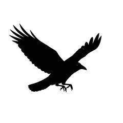 Obraz premium Majestic crow silhouette takes flight against a clean white background, symbolizing freedom and wildness.