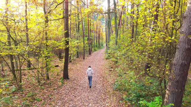 Young woman walking along leaf-covered path in a vibrant autumn forest, showcasing the natural beauty and tranquility of the scene, with a smooth camera follow movement enhancing the experience