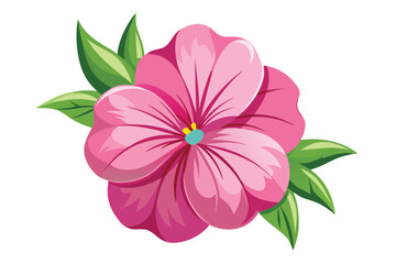 pink seraphina petunia flower vector in white background