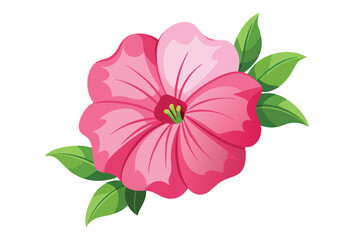 pink seraphina petunia flower vector in white background