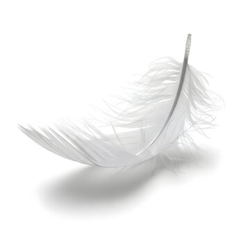 Fototapeta Single soft white feather floating, isolated on a white background.