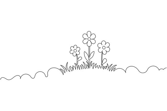 Minimalist floral line art with blooming flowers and grass outline design