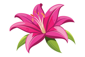 lily in shocking pink color vector in white background