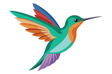 hummingbird vector in white background