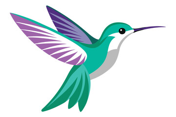 hummingbird vector in white background