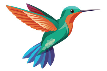 Obraz premium hummingbird vector in white background