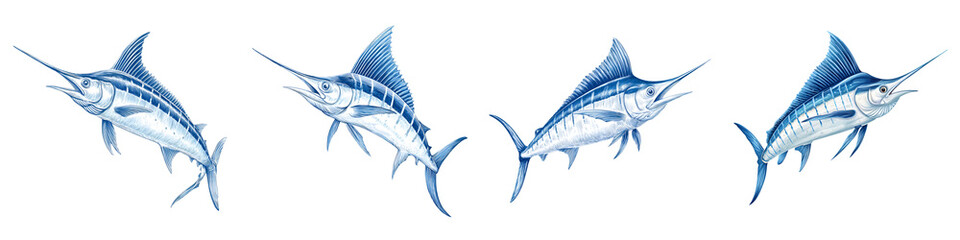 Blue Marlin Fish: Watercolor Illustration Collection on White