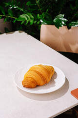 Croissant on a white plate with green plants in a cozy café setting