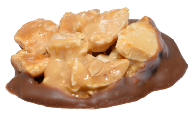 Traditional macadamia nut tartlet candy in caramel on a milk chocolate base