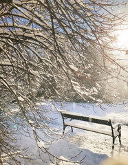 bench in the park winter snow 