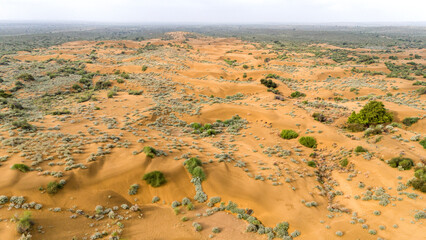 Aerial view of moist sand dunes at Khuri, Jaisalmer, Rajasthan, after a monsoon rain shower, dotted with green Khejri, Rohida, Babool, and Ker trees, along with Kair, Peelu, Thor, and Bui plants