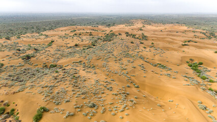 Aerial view of moist sand dunes in Thar Desert, Jaisalmer, Rajasthan, after monsoon rain, dotted with green Khejri, Rohida, Babool, and Ker trees, along with Kair, Peelu, Thor, and Bui plants