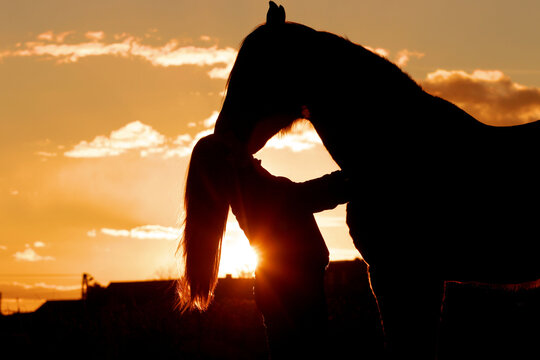 hores women sunset