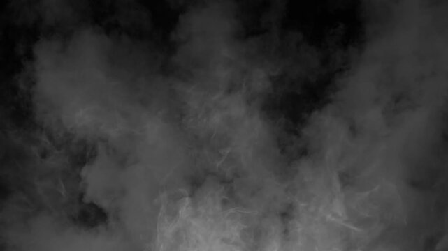 Realistic white smoke or fog slowly billows from bottom of frame on black background. Use as overlay for atmospheric, moody, or mysterious scenes