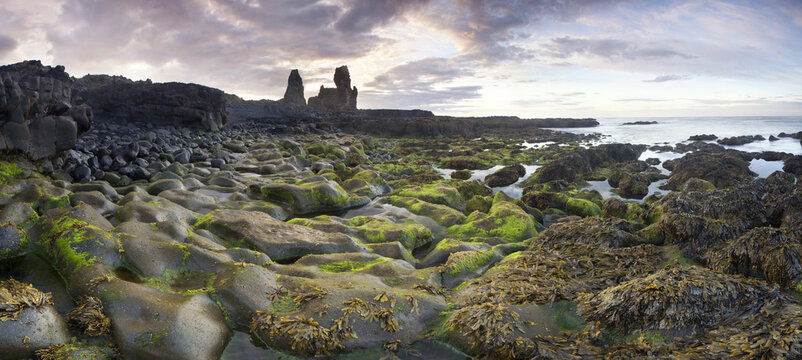 View of moss-covered rocks and seaweed line a rugged coastline, leading to basalt stacks under a cloudy sky, Snefellsnes, Eyja- og Miklaholtshreppur, Iceland.